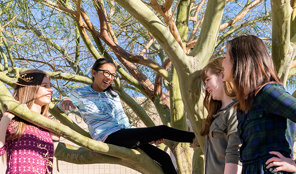 girl scouts in a tree