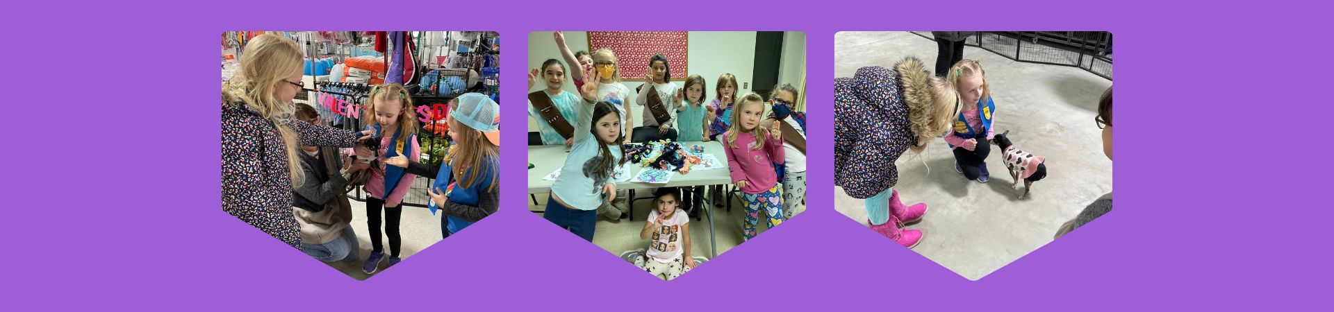  Three images of Girl Scouts from troop 1407 at the animal shelter 