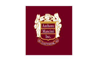 Anthony Mancini Inc logo
