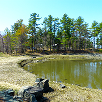 view of little island, trees, and water at camp scelkit
